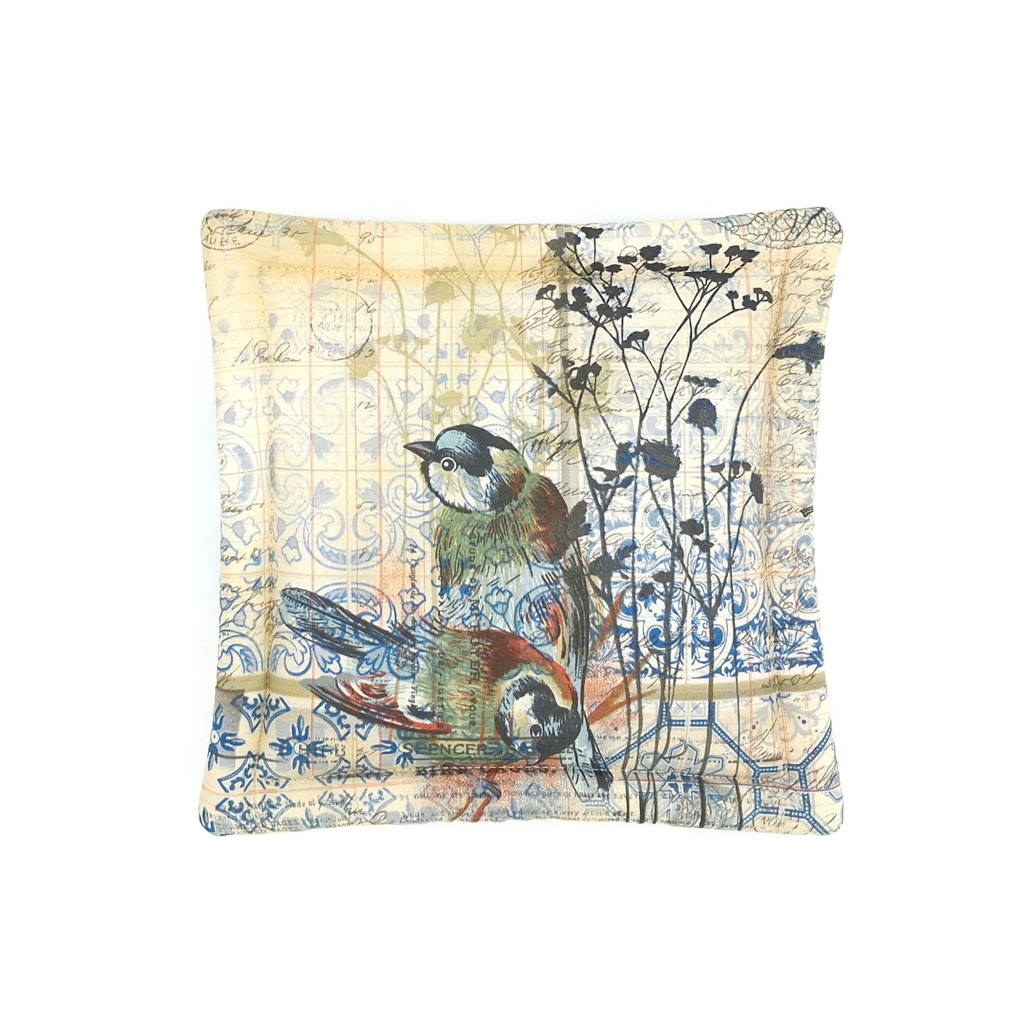 Small Catnip Cat Mat, Vintage Bird & Butterfly Naturalist Print, Reversible, Potent High-Altitude Catnip