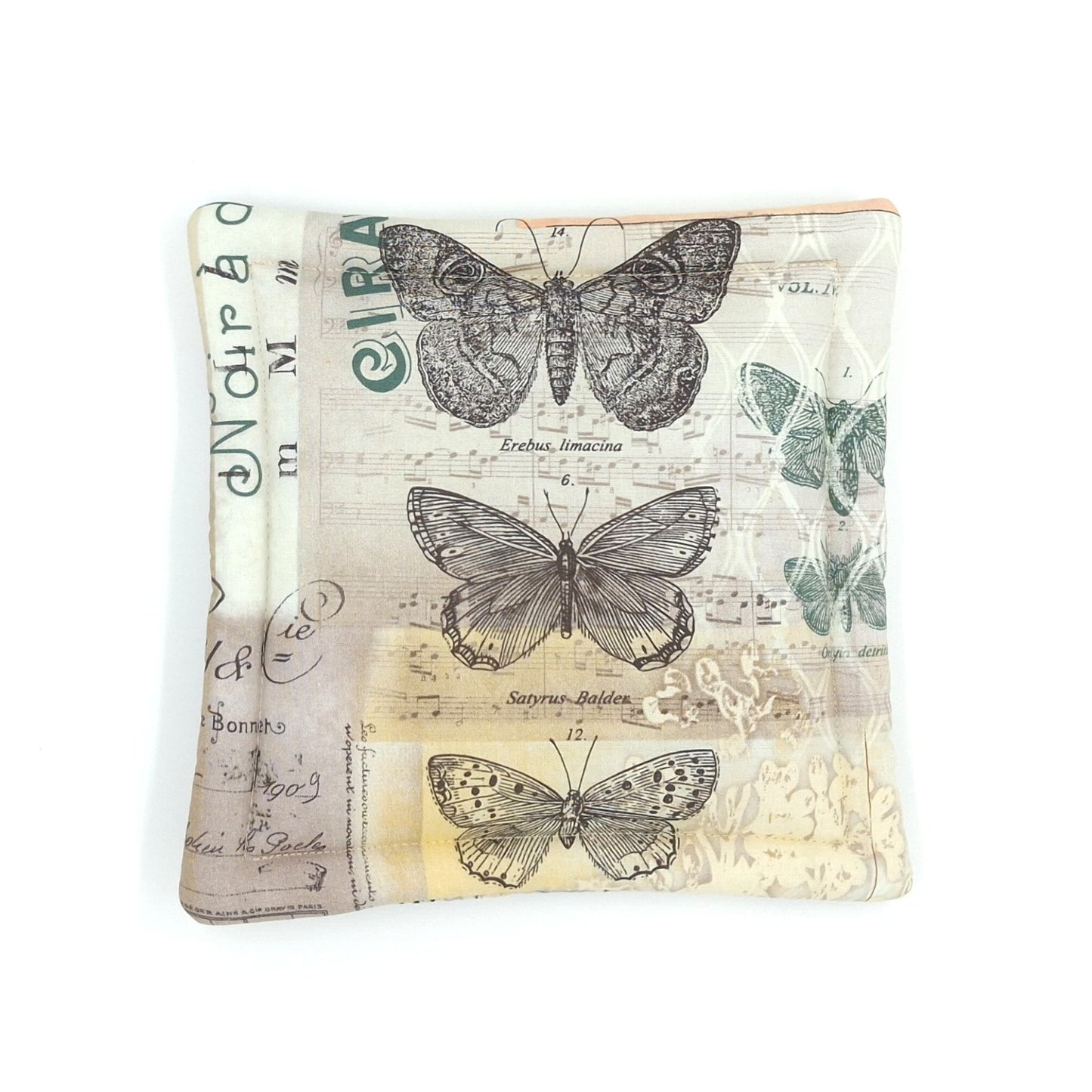 Small Catnip Cat Mat, Vintage Bird & Butterfly Naturalist Print, Reversible, Potent High-Altitude Catnip