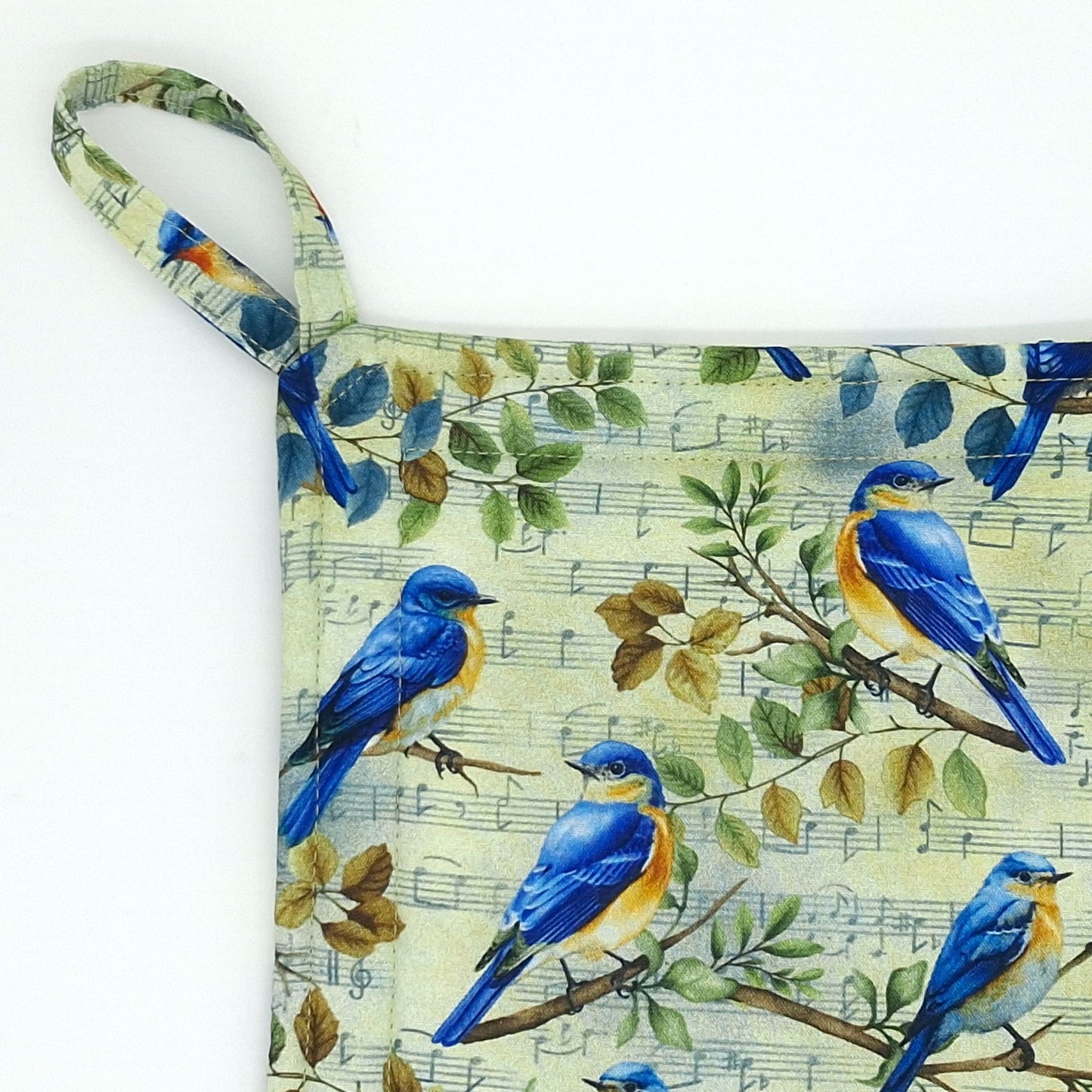 Handmade Bluebird Potholders, Set of 2 Cotton Insul-Brite Hot Pads, Bird Lover Kitchen Gift for Cooks