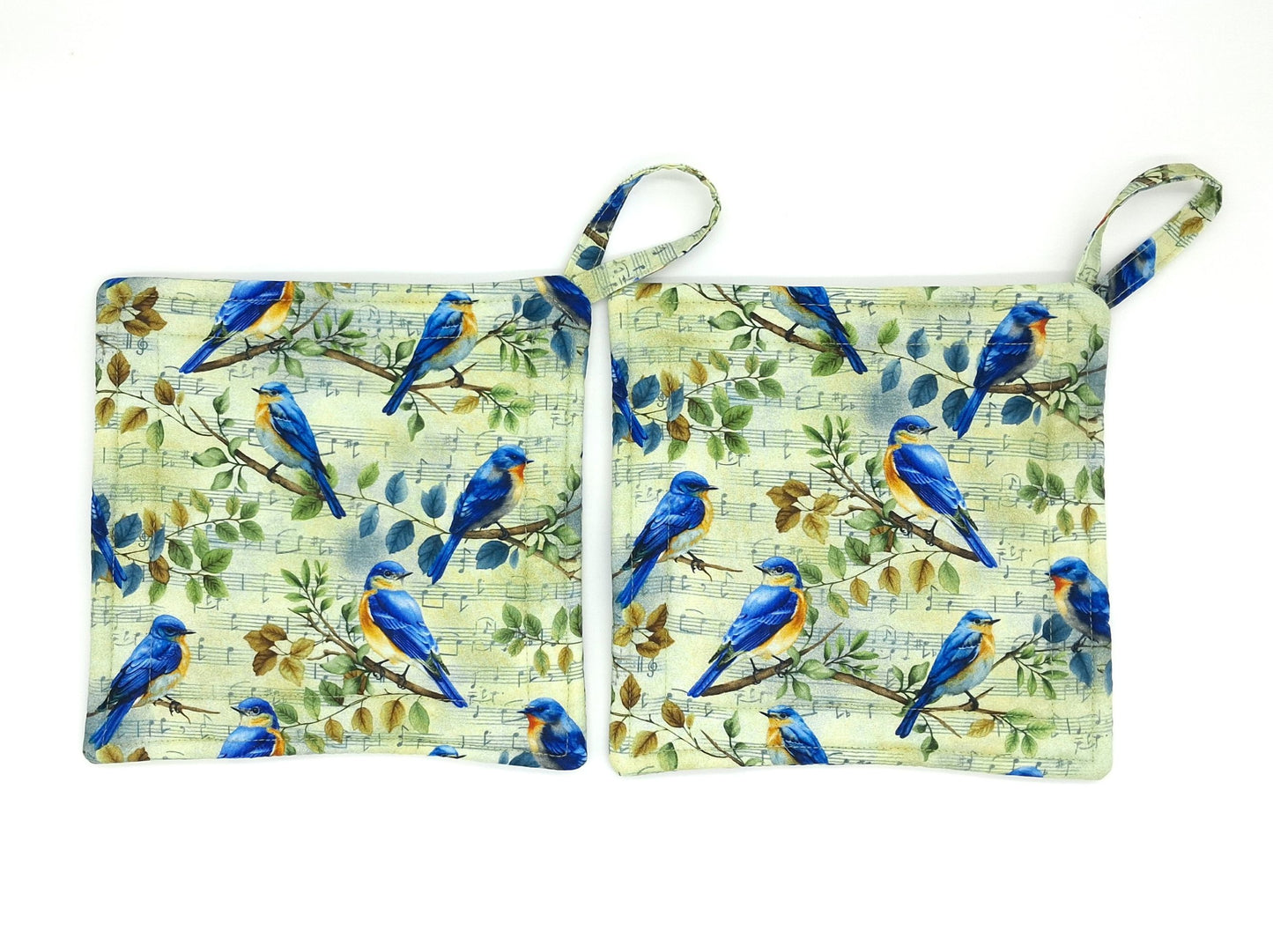Handmade Bluebird Potholders, Set of 2 Cotton Insul-Brite Hot Pads, Bird Lover Kitchen Gift for Cooks