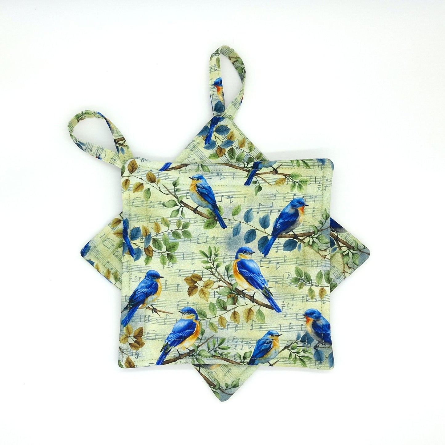 Handmade Bluebird Potholders, Set of 2 Cotton Insul-Brite Hot Pads, Bird Lover Kitchen Gift for Cooks