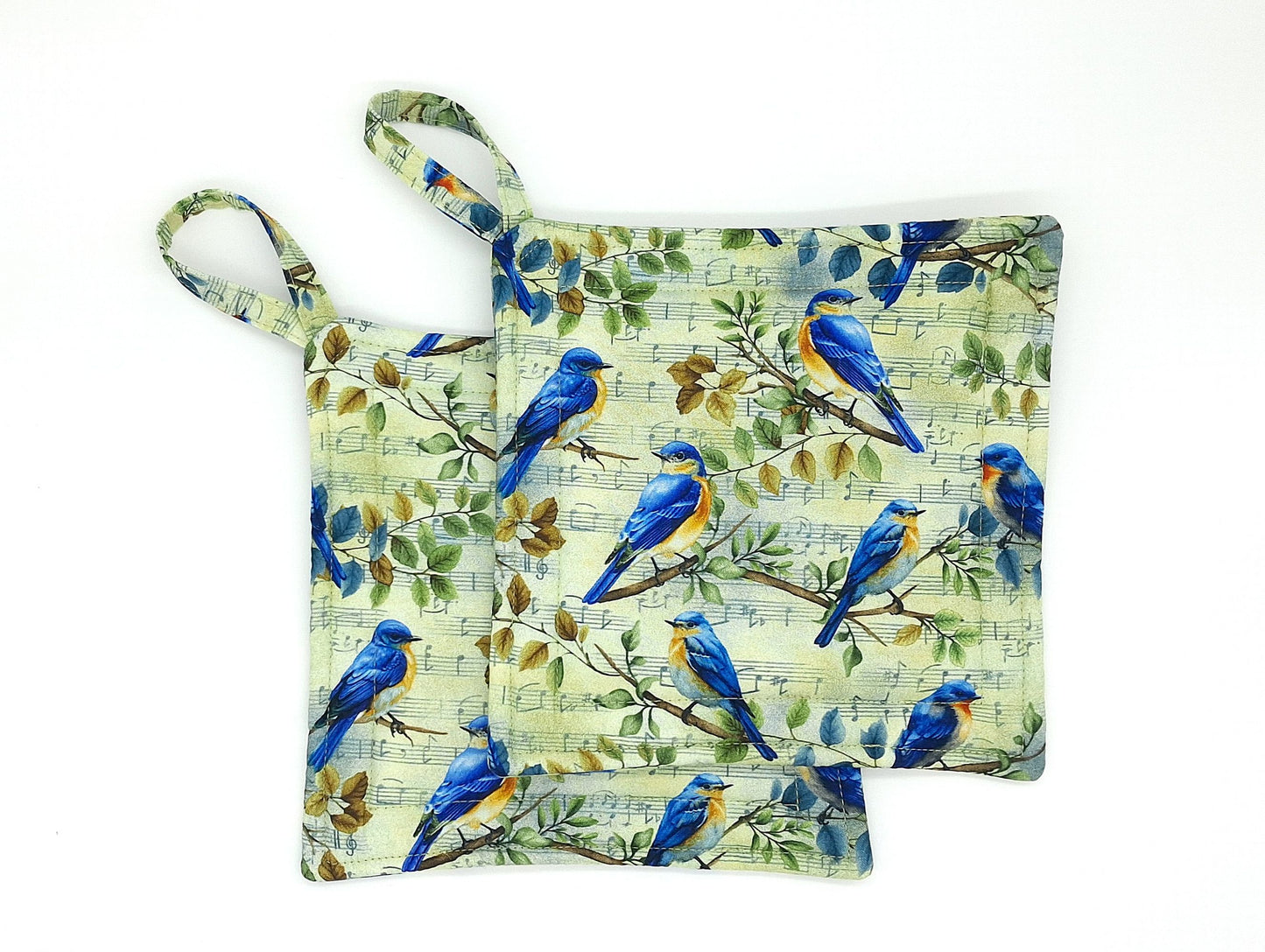 Handmade Bluebird Potholders, Set of 2 Cotton Insul-Brite Hot Pads, Bird Lover Kitchen Gift for Cooks